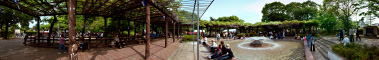 曼陀羅寺公園「江南藤まつり」のパノラマ風景写真(5)