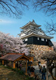 「浜松城天守閣と満開の桜」のパノラマ風景写真