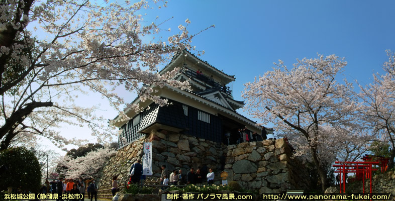 春の浜松城公園 「浜松城天守閣と満開の桜(3)」