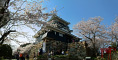 「浜松城天守閣と満開の桜」のパノラマ風景写真(3)