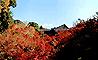臥雲橋から見た通天橋と紅葉