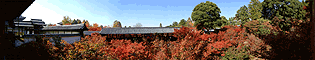 方丈から見た通天橋と紅葉(2)
